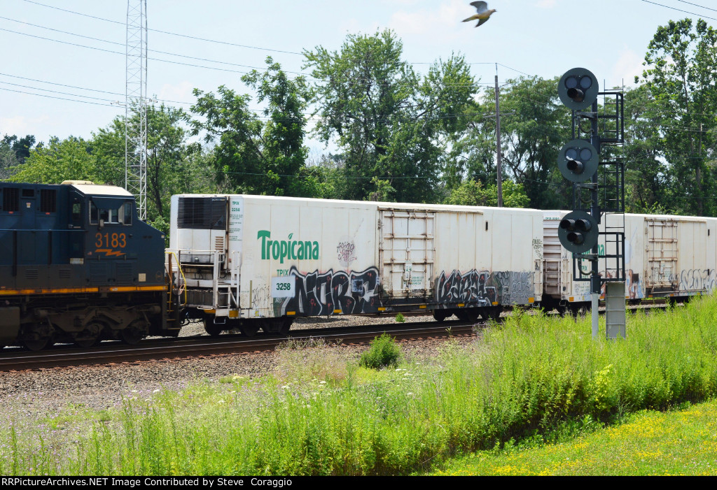 TPIX 3258 and a winged railfan